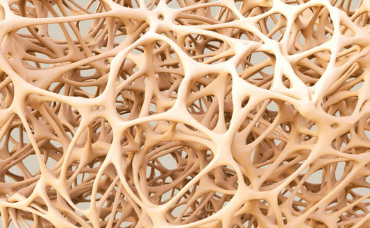 Bone Loss Accompanying Voluntary Weight Loss in Obese Humans