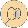 eggs icon