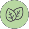 vegan icon
